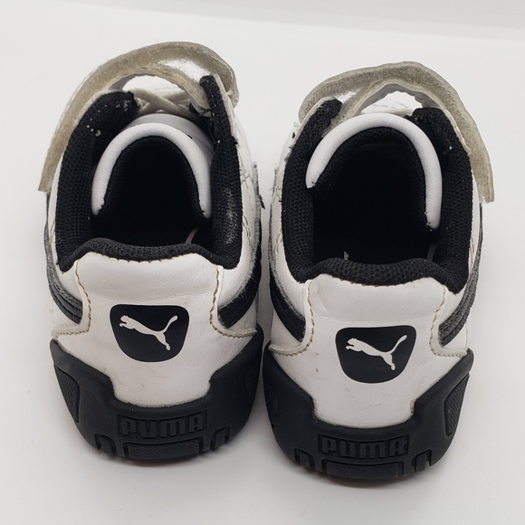 Pumas - Picture 4 of 9